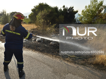 A firefigther sparys water to contain a wildfire in the northern suburb of Athens Varimpompi, on August 4, 2021. (