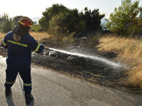A firefigther sparys water to contain a wildfire in the northern suburb of Athens Varimpompi, on August 4, 2021. (