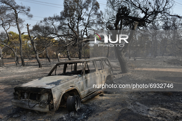 A car is destroyed beside a burnt down pine forest in the northern suburb of Athens Varimpompi, on August 4, 2021. 