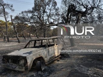 A car is destroyed beside a burnt down pine forest in the northern suburb of Athens Varimpompi, on August 4, 2021. (