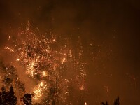 Kourkouli village during the night amid the wildfires, in Evia, Greece, on August 5, 2021. -Thousands of people have fled to safety from a w...