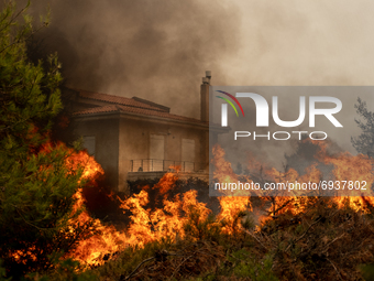 A house is burning, the owners have left and there is no one to help. A massive force of firefighters from Greece and other European countri...