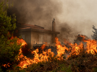A house is burning, the owners have left and there is no one to help. A massive force of firefighters from Greece and other European countri...