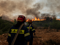 Fire fighters are waiting for the fire to come. A massive force of firefighters from Greece and other European countries are fighting for da...