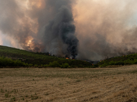 A massive force of firefighters from Greece and other European countries are fighting for days.
Wildfires have erupted in many parts of the...