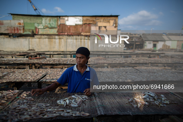 A man dries fish at a fishermen village in the North of Indonesia capital Jakarta on 8 August 2021. According to the data from the Central B...