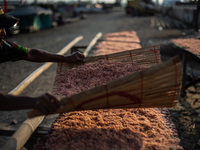 A man dries shrimp at a fishermen village in the North of Indonesia capital Jakarta on 8 August 2021. According to the data from the Central...