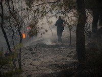 A Greek firefighter against the flames at the village Chronia, during the wildifires that ravaged Evia island, Greece, on August 5th, 2021....