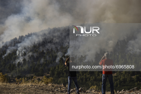Local citizens gazed a wildfire in the area of Villia north-western of Athens, Greece, 17 August 2021. 