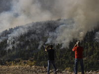 Local citizens gazed a wildfire in the area of Villia north-western of Athens, Greece, 17 August 2021. (