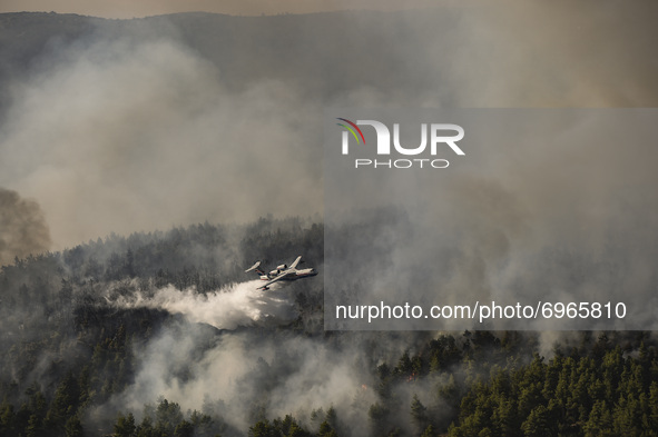 An aircraft of the fire brigade battles to extinguish a wildfire in the area of Villia north-western of Athens, Greece, 17 August 2021. 