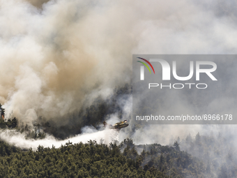 Firefighter aircraft operates during a wildfire in the area of Villia north-western of Athens, Greece, 17 August 2021. (
