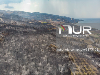 Burned forest near Rovies. Panoramic aerial bird's eye view of a drone shows devastating aftermath of wildfires in Evia island in Greece aft...