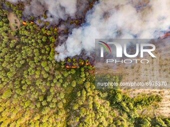 Panoramic Aerial Bird's Eye view from a drone of the wildfire flames burning Evia Island, destroying pine tree forest, olive groves and hous...