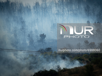 A burnt landscape, at the Vilia wildfire near Athens.  On August 23rd, in 2021 in Vilia, Attica (Athens), Greece. (