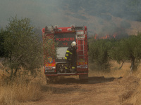 Romanian firefighters at the Vilia wildfire.  On August 23rd, in 2021 in Vilia, Attica (Athens), Greece. (