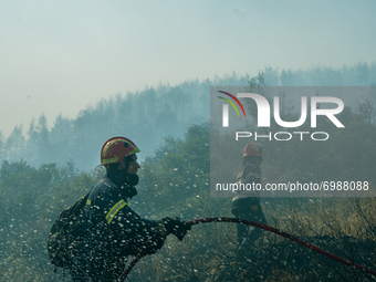 Firefighters trying to tame the flames at the Vilia wildfire.  On August 23rd, in 2021 in Vilia, Attica (Athens), Greece. (