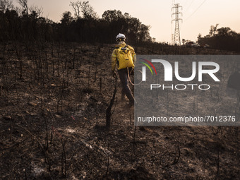 Sao Paulo, Brazil, August 25th 2021 - More than 72 hours after the fire that burned half the area of the Juquery State Park, in Greater São...