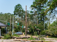 Fallen trees and debris blocking streets and making it difficult for utility crews to restore power is seen following Hurricane Ida, Thursda...