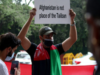An Afghan national residing in India holds a placard during a demonstration against Pakistan's alleged support to the Taliban, in New Delhi,...