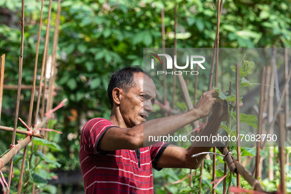 Land for rice farming and farming in southern Tangerang, Indonesia on September 17, 2021 has been exhausted by an uncontrolled housing devel...