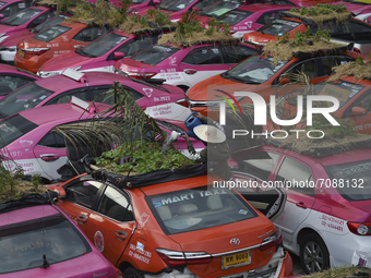 Staff members of the Ratchaphruek Taxi Cooperative sprinkles water to plant vegetables on unused abandoned taxi cars parked at Ratchaphruek...