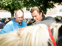 VOORSCHOTEN - Horse dealers and their sticks used to keep the animals in place and calm. Every year on the 28th of July a horse market is he...