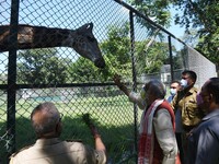 Union Minister of State Environment, Forest and Climate Change Ashwini Kumar Choubey  feeds a giraffe  during his visit to Assam State Zoo a...