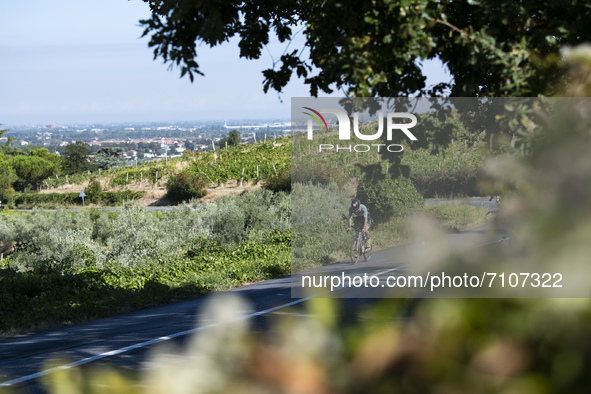 The uphill to Bertinoro, at Ironman Italy 2021, on September 18, 2021. Ironman Italy 2019 in Cervia, Emilia Romagna, Italy. More than 1600 a...