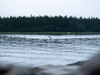 Athletes swim in the cold water, at Swedeman 2021 in Åre, Sweden (