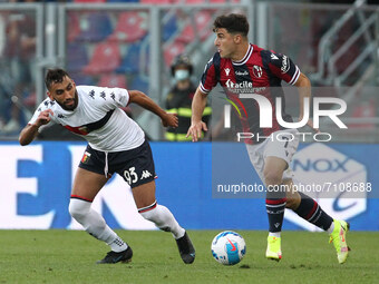 Riccardo Orsolini (Bologna F.C.) (right) competes for the ball with Mohamed Fares (Genoa CFC) during the Italian Serie A soccer match Bologn...