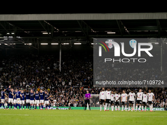 Players of Fulham and of Leeds United during the Carabao Cup match between Fulham and Leeds United at Craven Cottage, London on Tuesday 21st...