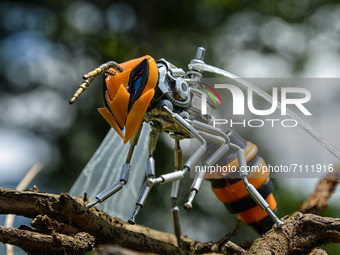 Transformers bee action figures are displayed in Puncak, Bogor, West Java, Indonesia on September 22, 2021. Yusuf creates art using a proces...