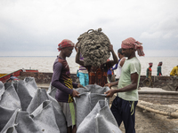 Workers prepare sandbags to repair the embankment designed to protect their island from river erosion and floodwater from the swelled Padma,...