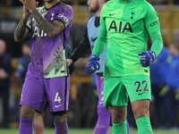 Pierluigi Gollini of Tottenham Hotspur celebrates winning the penalty shoot-out during the Carabao Cup match between Wolverhampton Wanderers...