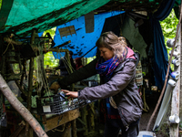 Asia, an environmental activist warks in field kitchen in an occupational protest camp in Turnicki forest on September 25, 2021 near Arlamow...