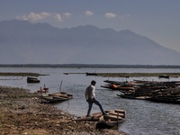 A Man tries to board a Boat in Wular Lake in Watlab area of Sopore, District Baramulla, Jammu and Kashmir, India on  September 26 2021  (