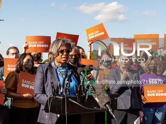 Congresswoman Brenda Lawrence (D-MI) speaks during a press conference with members of Trust Respect Access, a reproductive rights organizati...
