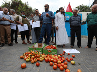 Palestinian farmers take part in a protest against the new Israeli export conditions, outside a United Nations office in Gaza City , Sunday...