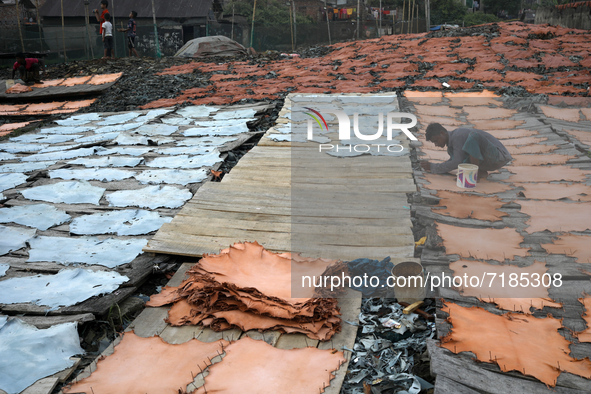 A worker sets up leather pieces on a rack to make it dry at a tannery in Hazaribag, Dhaka, Bangladesh on October 06, 2021. Though many leath...