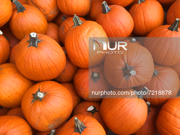 Pumpkins outside a store during the Autumn season in Markham, Ontario, Canada, on October 15, 2021. 