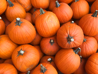 Pumpkins outside a store during the Autumn season in Markham, Ontario, Canada, on October 15, 2021. (