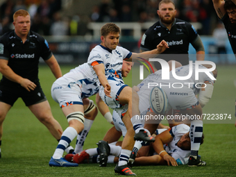Harry Randall of Bristol Bears clears from the base during the Gallagher Premiership match between Newcastle Falcons and Bristol at Kingston...