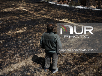A man is looking at the ruins of his house, destroyed by the fire in the village of Valcha polyana, Bulgaria on August 07, 2015 (