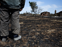 A man is looking at the ruins of his house, destroyed by the fire in the village of Valcha polyana, Bulgaria on August 07, 2015 (