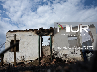 A man is walking across the ruins of one of house, destroyed by the fire in the village of Valcha polyana, Bulgaria Valcha polyana, Elhovo,...