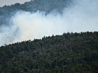 Thousand of acres were destroyed by the fire between the villages of Valcha polyana, Golyam Dervent and the town of Elhovo on August 07, 201...