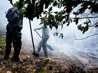 Bulgarian military spray water on forest burned area at  Valcha polyana, Elhovo, Bulgaria on August 07, 2015 (