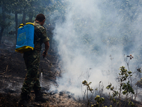 Bulgarian military spray water on forest burned area at Valcha polyana, Elhovo, Bulgaria on August 07, 2015 (