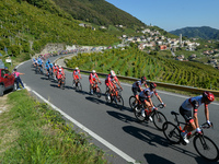 BYSTRØM Sven Erik (R) of Norway and UAE-Team Emirates leads his team in the climb, during the first edition of the Veneto Classic, the 207km...